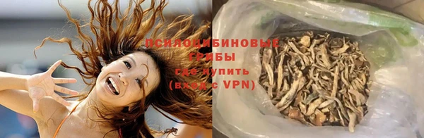 а пвп мука Козельск