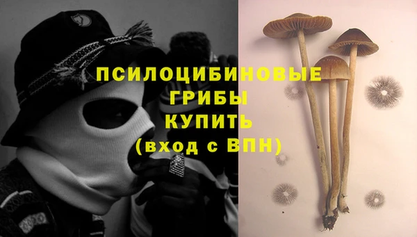 а пвп мука Козельск