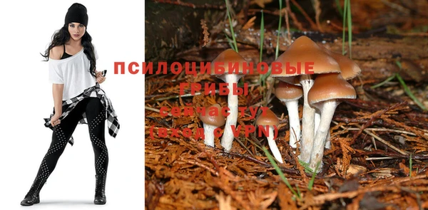 а пвп мука Козельск