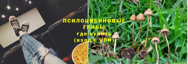 а пвп мука Козельск