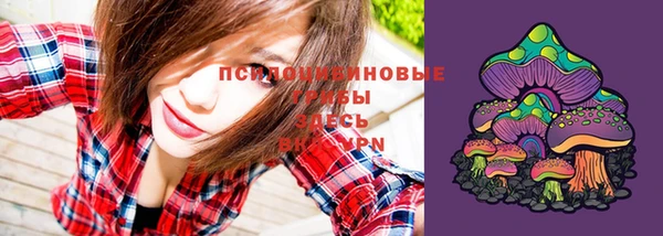 дживик Киренск